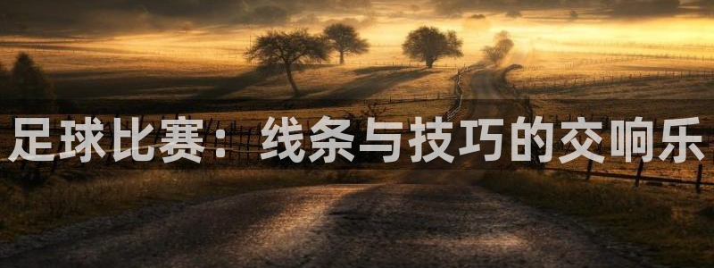 678体育学基础综合